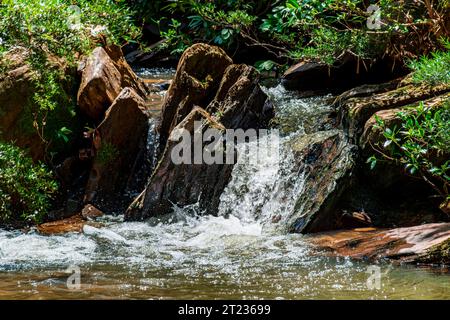 Fluss, der durch den Wald zwischen Felsen und Vegetation im brasilianischen Bundesstaat Minas Gerais fließt Stockfoto