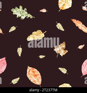 Herbstgetrocknete Blätter, isoliert auf schwarzem Hintergrund. Herbstliches nahtloses Muster für Raumdekoration, Textil, Druck, Verpackung, Sammelalbum. Stockfoto