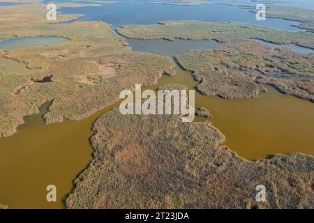 Pakozd, Ungarn - Luftaufnahme der Schilfstruktur am Velence-See Stockfoto