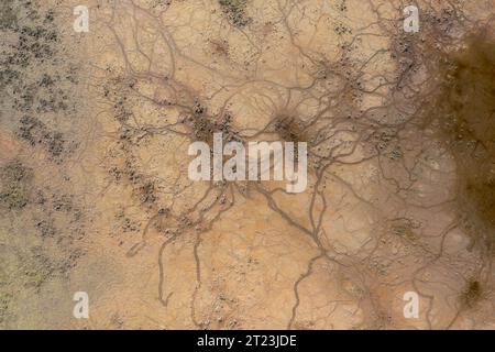 Pákozd, Ungarn - Luftaufnahme von oben nach unten über abstrakte Formationen am Velence-See. Zeigt einen ausgetrockneten Teil, der Klimawandel ist real. Stockfoto