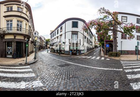 Panoramabild über dem Praca do Municipio in Funchal auf der portugiesischen Insel Madeira Stockfoto