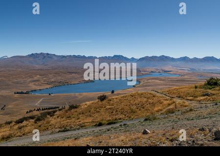 Lake Alexandrina, Tussock Plain, McKenzie District, Canterbury, South Island, Neuseeland Stockfoto