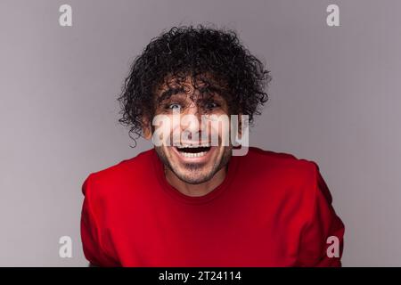 Porträt eines glücklichen, positiven bärtigen Mannes mit lockigen Haaren, der in die Kamera blickt und lacht, seine lustige Frisur sieht, mit rotem Pullover. Innenstudio isoliert auf grauem Hintergrund. Stockfoto