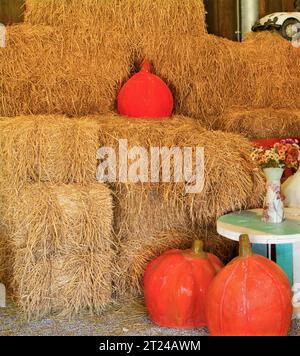 Orangenkürbis liegt im Heu Kürbisbauern vermarkten Herbstgemüse Kürbisernte Kürbissaison im Herbst Oktober und November, Ernte Stockfoto