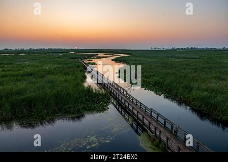 Die Marsh Boardwalk bei Sonnenaufgang im Point Peele National Park. Stockfoto