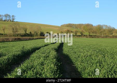 Blick über das Feld in Richtung Brabourne hinunter auf die North Downs von Brabourne Combe, Ashford, Kent, England, Großbritannien Stockfoto