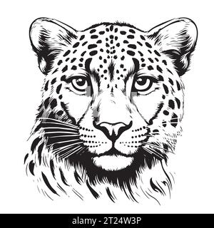 Cheetah Head Sketch Hand Drawn Graphic Safari Animals Vektor Stock Vektor