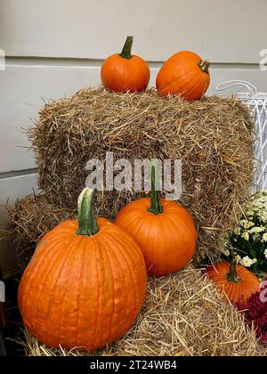 Orangefarbene Kürbisse neben einer Heu-Garbe Stockfoto