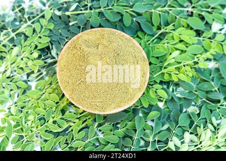 Moringa-Pulver mit frischen Blättern, flache Ansicht Stockfoto