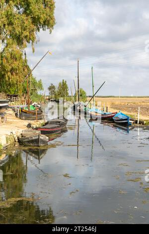 Traditionelle Fischerboote aus Lateen, die im Hafen von Catarroja in der Nähe von Valencia, Spanien, liegen. Naturpark Albufera. Begriffe Fischerei und Landwirtschaft Stockfoto