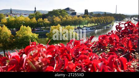 Herbstlich ist der Blick von der Saarbrücker Schloßmauer auf Saar und Staatstheater am Montag 16.10.2023. *** Herbstlich ist der Blick von der Saarbrücker Burgmauer auf Saar und Staatstheater am Montag, 16 10 2023 Bub Credit: Imago/Alamy Live News Stockfoto