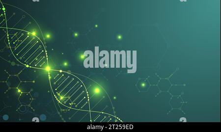 Wissenschaftliche Vorlage, Hintergrundbild oder Banner mit DNA-Molekülen. Vektorabbildung. Stock Vektor