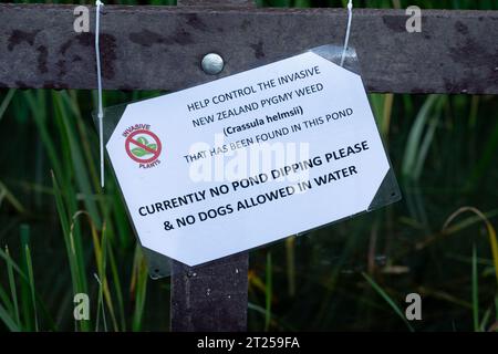 Warnschild für neuseeländisches Pygmy Weed (Crassula helmsii), Warwick, Vereinigtes Königreich Stockfoto