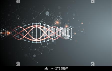 Science-Vorlage, Tapete oder Banner mit DNA-Molekülen. Vektorgrafik Stock Vektor