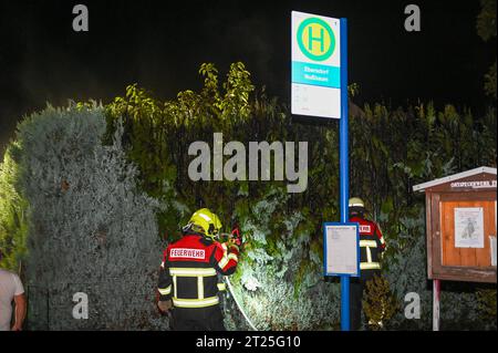 Ebersdorf - Brandserie geht weiter: Hecke steht in Flammen 12.10.2023 gegen 22:50 Uhr Ebersdorf, Niederen Dorfstraße Fotograf: LausitzNews.de/ Philipp Grohmann die Brandserie in und um Löbau setzt sich weiter fort. Nur ein paar Stunden nach dem Brand eines AST- & Laubhaufens in Ebersdorf schrillen die Sirenen erneut. Gegen 22:50 Uhr wurden die Kameradinnen und Kameraden aus Ebersdorf und Löbau erneut zu einem Brand in Ebersdorf alarmiert. In der Niederen Dorfstraße steht diesmal eine Hecke in Flammen, das Feuer drohte sich schnell ausbreiten. Durch das schnelle handeln der Feuerwehrleute Ko Stockfoto