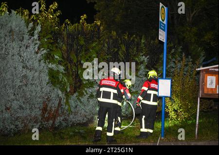 Ebersdorf - Brandserie geht weiter: Hecke steht in Flammen 12.10.2023 gegen 22:50 Uhr Ebersdorf, Niederen Dorfstraße Fotograf: LausitzNews.de/ Philipp Grohmann die Brandserie in und um Löbau setzt sich weiter fort. Nur ein paar Stunden nach dem Brand eines AST- & Laubhaufens in Ebersdorf schrillen die Sirenen erneut. Gegen 22:50 Uhr wurden die Kameradinnen und Kameraden aus Ebersdorf und Löbau erneut zu einem Brand in Ebersdorf alarmiert. In der Niederen Dorfstraße steht diesmal eine Hecke in Flammen, das Feuer drohte sich schnell ausbreiten. Durch das schnelle handeln der Feuerwehrleute Ko Stockfoto