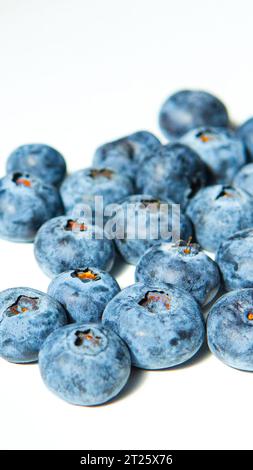 Ein Haufen frisch geernteter Heidelbeeren in einem leuchtend blauen Farbton, ordentlich auf weißem Hintergrund angeordnet mit viel Platz für Text Stockfoto