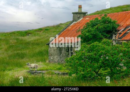 Es gibt viele verlassene Stämme und verlorene Orte auf der Isle of Harris. Stockfoto