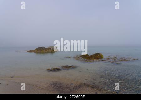 Am Ufer des Porthdinllaen Strandes in Gwynedd, mit Blick auf Meeresalgen bedeckte Felsen in den dicken Nebel. Stockfoto