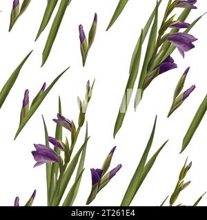 Aquarell Gladiolen Pflanzen nahtloses Muster, handgezeichnete florale Illustration von violetten Blüten Knospen und Blättern. Isolierter weißer Hintergrund.Wiederholung Stockfoto