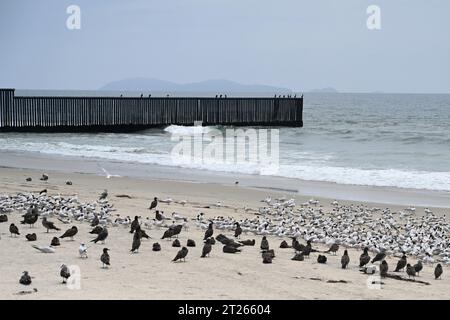 Ein Zaun an der Grenze zwischen den Vereinigten Staaten und Mexiko, wo er im Border Field State Park Beach auf den Pazifik trifft Stockfoto