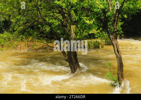 Während der Monsunzeit in Kerala sind Flüsse überschwemmt. Stockfoto