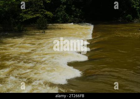 Während der Monsunzeit in Kerala sind Flüsse überschwemmt. Stockfoto