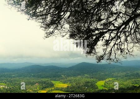 Wunderschöner Blick auf die Berge am frühen Morgen von Wayanad, Kerala. Stockfoto