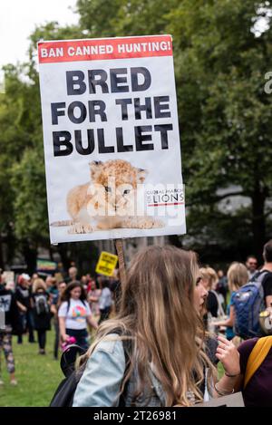 Offizieller Tierrechtsmarsch mit Demonstranten vor den Kammern des Parlaments. Plakette gegen Trophäenjagd Stockfoto