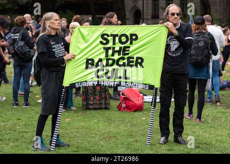 Stoppen Sie das Banner der Dachsschlachtung beim offiziellen Animal Rights March, der mit Demonstranten vor den Häusern des Parlaments stattfindet. Surrey Hunt Monitore Stockfoto