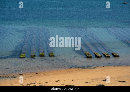 Oyster Farm In Der Bucht Von Morlaix, Bretagne Stockfoto