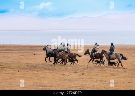 Kok-boru Kirgisistan-Buzkashi Ziegenziehen ist die traditionelle nationale Sportart, in der die Spieler auf den Pferden versuchen, eine Ziege oder ein Kalb zu platzieren Stockfoto