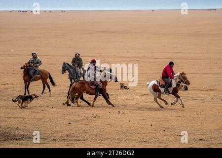 Kok-boru Kirgisistan-Buzkashi Ziegenziehen ist die traditionelle nationale Sportart, in der die Spieler auf den Pferden versuchen, eine Ziege oder ein Kalb zu platzieren Stockfoto