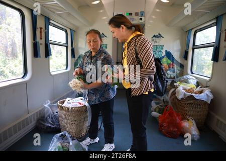 (231017) -- ZUNYI, 17. Oktober 2023 (Xinhua) -- Ein Dorfbewohner verkauft Gemüse im Zug Nr. 5630, der Zunyi, südwestchinesische Provinz Guizhou, mit der südwestchinesischen Gemeinde Chongqing verbindet, 17. Oktober 2023. Seit dem Betrieb im Jahr 1993 sind die „Slow Trains“ Nr. 5630/5629, die zwischen Zunyi in der Provinz Guizhou und der Gemeinde Chongqing im Südwesten Chinas verkehren, ein wichtiges Transportmittel für Dorfbewohner in Bergregionen entlang der Strecke. Der Zug fährt etwa 300 Kilometer und dauert mehr als sieben Stunden und hält an 21 Stationen. Wegen des niedrigen Preises und der Bequemlichkeit, Villa Stockfoto