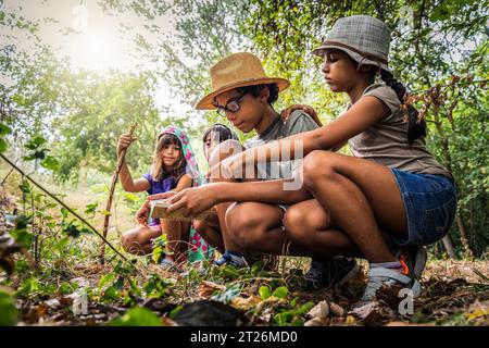 Multiethnische Gruppe neugieriger glücklicher Schulkinder in lässiger Kleidung, die Natur und Wald gemeinsam erkunden - die Kinder, die auf der Suche nach dem Notizbuch sind Stockfoto