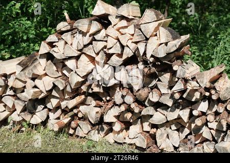 Ein Haufen gehackten Brennholzes wird auf einer Wiese gestapelt. Stockfoto