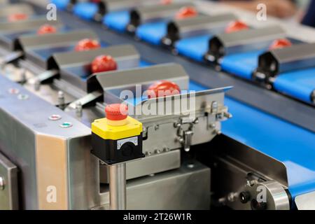 Förderband mit automatischer Lebensmittelwägemaschine. Selektiver Fokus. Stockfoto