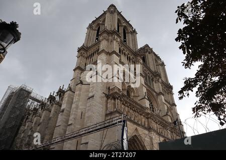 Nahaufnahme der Kathedrale Notre Dame nach dem Feuer, Paris, Frankreich. Bild bei düsterem Wetter. Stockfoto