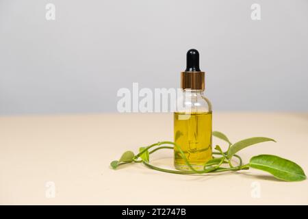 Wimpern- und Augenbrauenpflegeöl in Glasgefäß mit Tropfer, Platz für Text Stockfoto