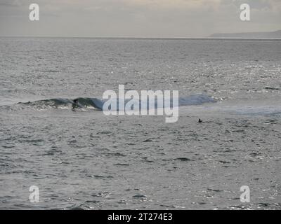 Surfer in abendlicher Stimmung auf den Wellen am Strand von Porthleven in Cornwall England Stockfoto