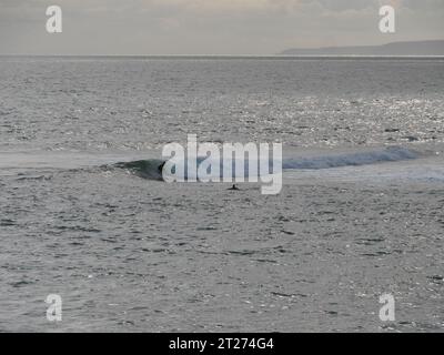 Surfer in abendlicher Stimmung auf den Wellen am Strand von Porthleven in Cornwall England Stockfoto