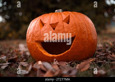 Augsburg, Bayern, Deutschland. Oktober 2023. Halloween-Kürbis zwischen Laubblättern im Herbst. Dekoration mit geschnitztem Gesicht *** Halloween Kürbis zwischen Laub Blättern im Herbst. Dekoration mit geschnitztem Gesicht Credit: Imago/Alamy Live News Stockfoto