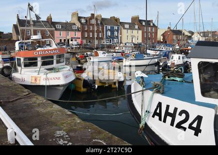 Hafenszene in Arbroath an Schottlands Ostküste mit dem Fischereischiff Aspire (AH24) im Vordergrund und farbenfrohen Gebäuden am Ufer. Stockfoto