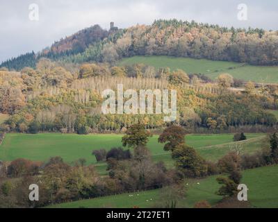 Flunders Folly liegt hoch am südlichen Ende von Wenlock Edge, von Stoke Woods aus gesehen, Craven Arms, Shropshire, Großbritannien Stockfoto