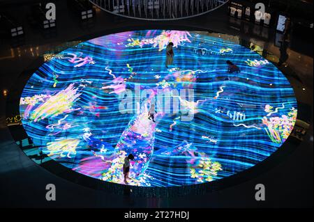 01.08.2023, Singapur, Republik Singapur, Asien - Menschen heben sich vor einer interaktiven, digitale Lichterleinwand Digital Light Canvas by Teamlab im Einkaufszentrum The Shoppes in Marina Bay Sands ab. Der Digital Light Canvas kombiniert 4D-Vision-Display-Technologie und einen LED-Boden. *** 01 08 2023, Singapur, Republik Singapur, Asien die Menschen stehen vor einer interaktiven digitalen Lichtleinwand Digital Light Canvas von Teamlab im Shoppes Shopping Center in Marina Bay Sands die Digital Light Canvas kombiniert 4D-Vision-Display-Technologie und LED-Boden Stockfoto