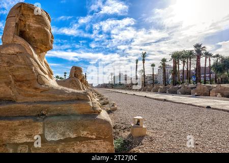 Die Avenue of Sphinxes zwischen dem Karnak-Tempel und dem Luxor-Tempel diente als Hauptstraße für das jährliche Opet-Festival, das in Theben stattfand Stockfoto