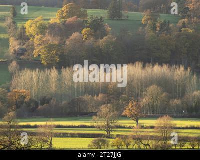 Ackerland im Clun Valley bei Craven Arms, Shropshire, Großbritannien Stockfoto