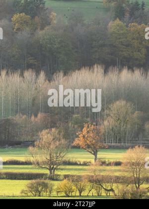 Ackerland im Clun Valley bei Craven Arms, Shropshire, Großbritannien Stockfoto