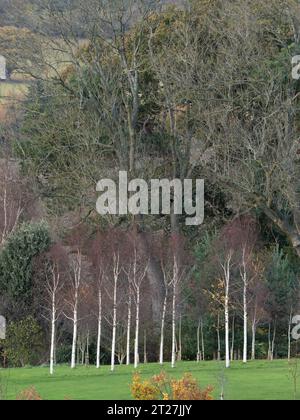 Ackerland im Clun Valley bei Craven Arms, Shropshire, Großbritannien Stockfoto