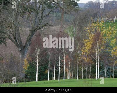 Ackerland im Clun Valley bei Craven Arms, Shropshire, Großbritannien Stockfoto